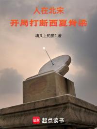 人在北宋，开局打断西夏脊梁！